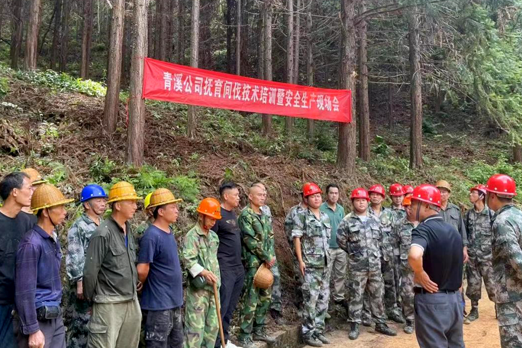 加強森林撫育示范管理，促進森林質(zhì)量精準提升