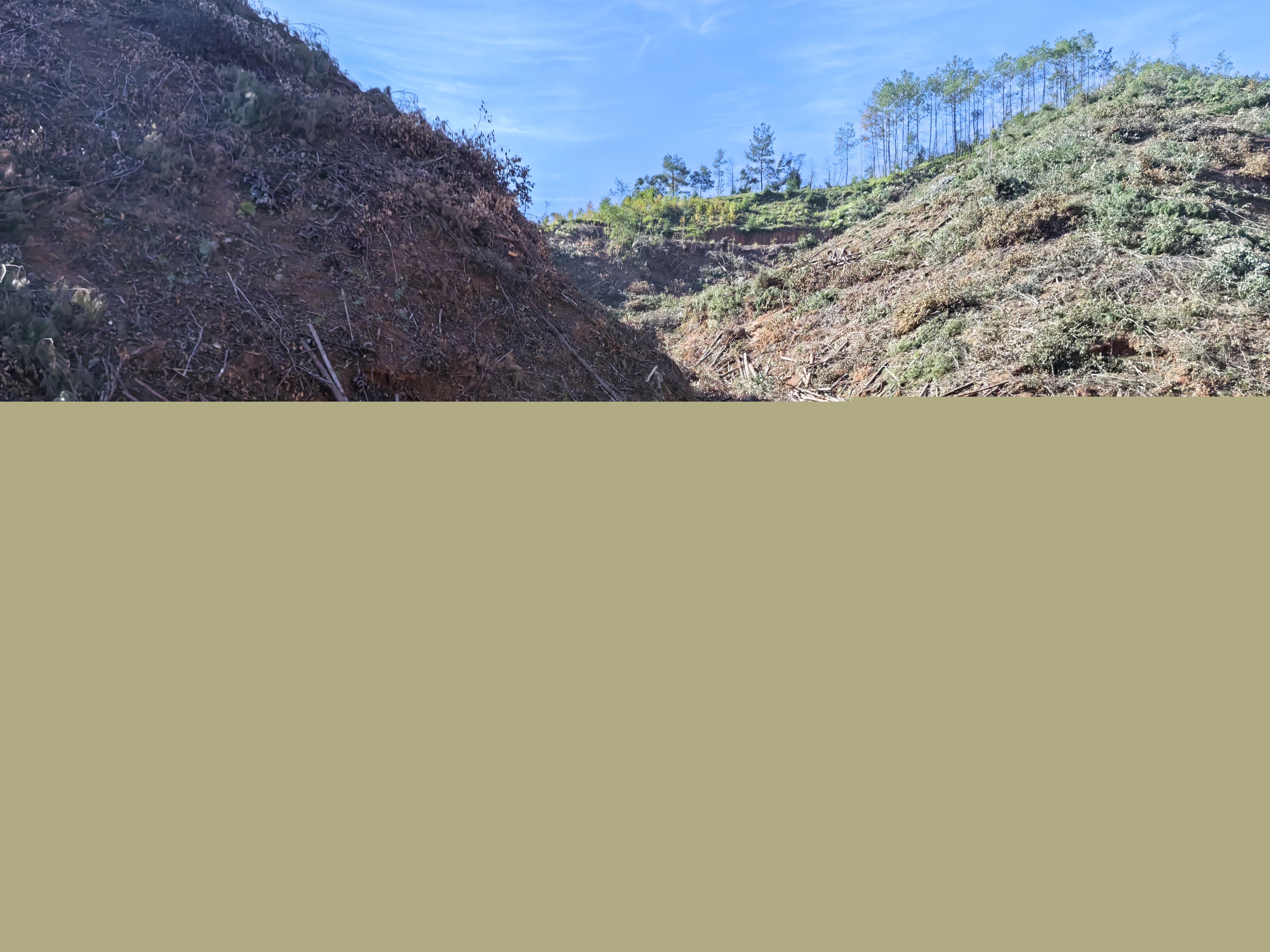 平安常青，我們在行動——常青分公司開展安全生產(chǎn)日活動