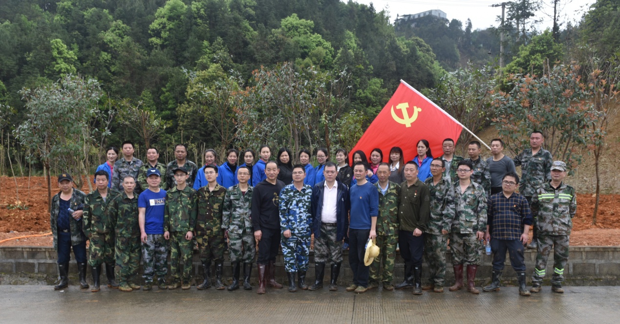 陽春三月雨，正是植樹好時節(jié)