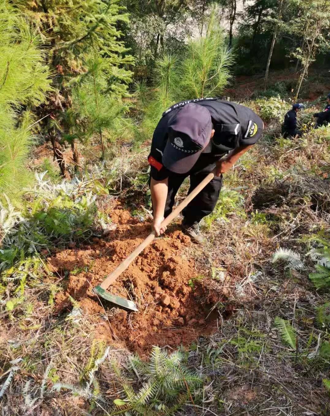 干好每一天|青山掛白我復綠，無私奉獻金森人——資源保護部義務突擊隊工作記實