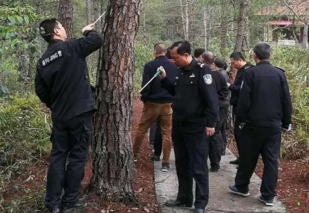 金森公司開展森林病蟲害防治培訓(xùn) 金森公司開展森林病蟲害防治培訓(xùn)