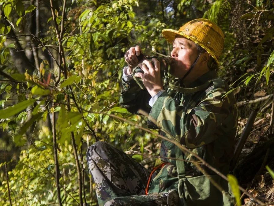 【金森榜樣】護(hù)林員邱玉祥的一天:想一輩子與青山相伴 【金森榜樣】護(hù)林員邱玉祥的一天:想一輩子與青山相伴