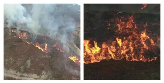 1608522323199298.png image.png