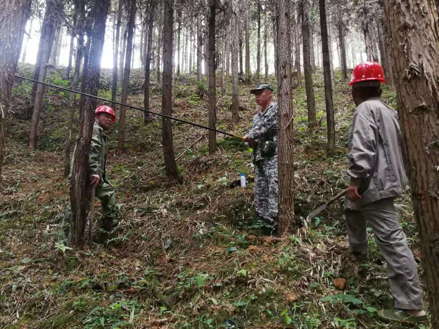 支部結(jié)對(duì)共建 促進(jìn)黨建業(yè)務(wù)“雙提升” 支部結(jié)對(duì)共建 促進(jìn)黨建業(yè)務(wù)“雙提升”