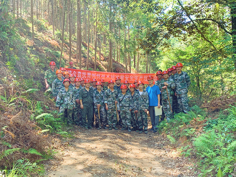 嚴(yán)把森林培育質(zhì)量關(guān)，譜寫資源培育新篇章