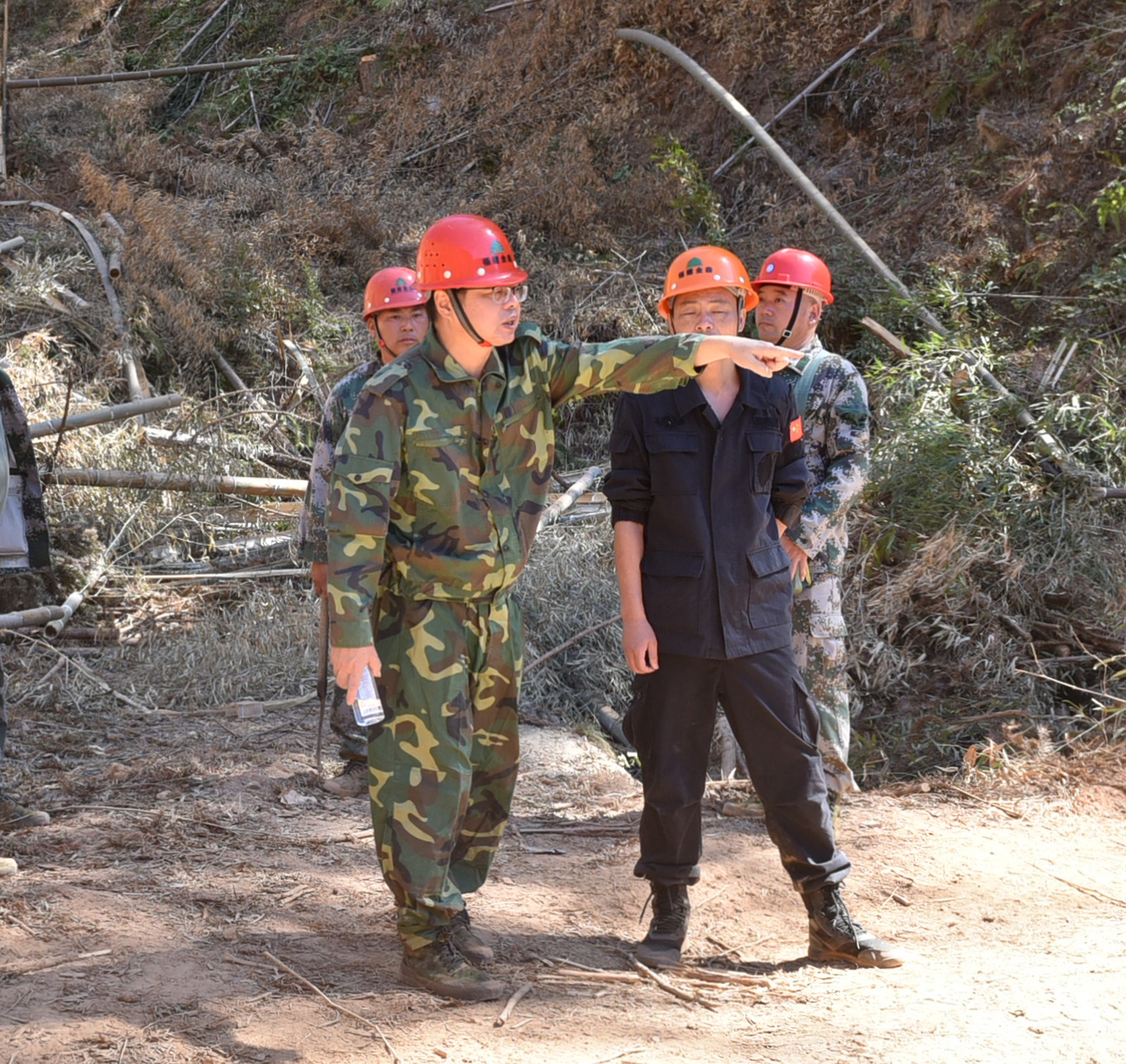 1665981147501386.jpg 1665981147501386.jpg